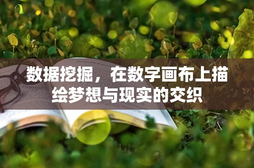 数据挖掘，在数字画布上描绘梦想与现实的交织