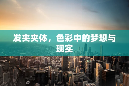 发夹夹体，色彩中的梦想与现实