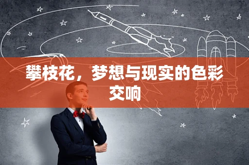攀枝花，梦想与现实的色彩交响