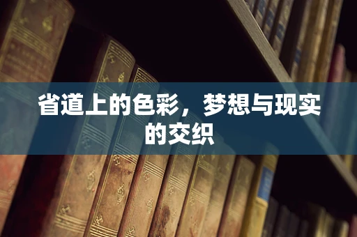 省道上的色彩，梦想与现实的交织