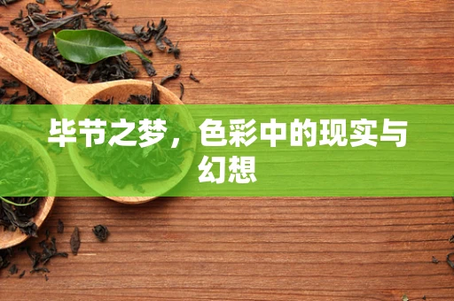 毕节之梦，色彩中的现实与幻想