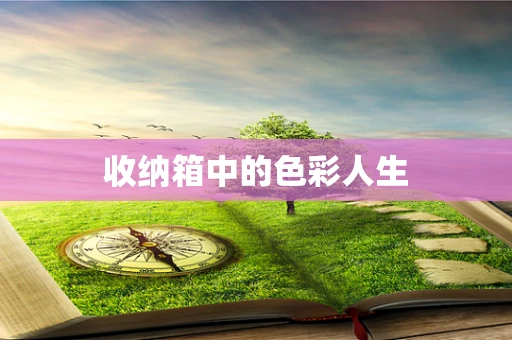 收纳箱中的色彩人生