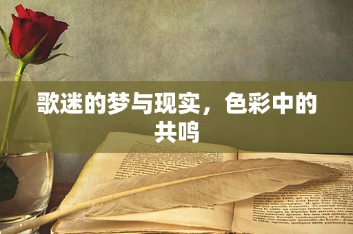 歌迷的梦与现实，色彩中的共鸣