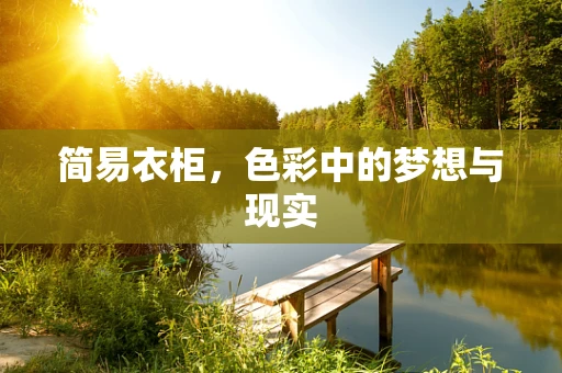 简易衣柜，色彩中的梦想与现实