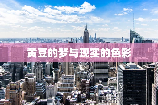 黄豆的梦与现实的色彩