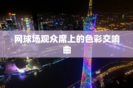 网球场观众席上的色彩交响曲