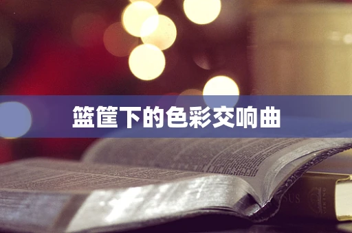 篮筐下的色彩交响曲