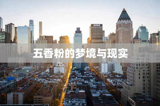 五香粉的梦境与现实