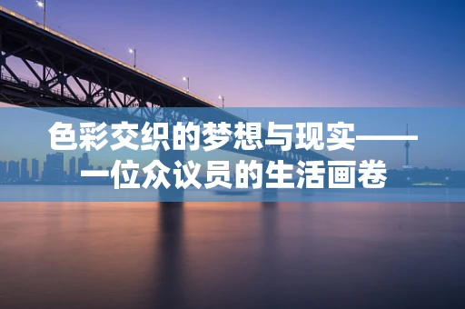 色彩交织的梦想与现实——一位众议员的生活画卷