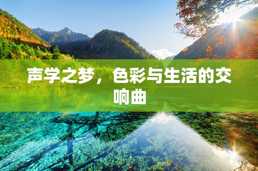 声学之梦，色彩与生活的交响曲