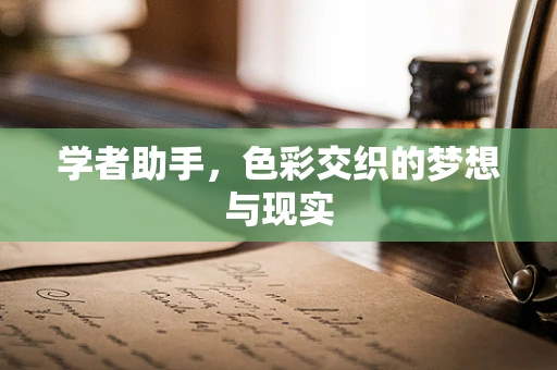 学者助手，色彩交织的梦想与现实