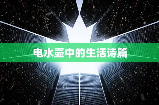 电水壶中的生活诗篇