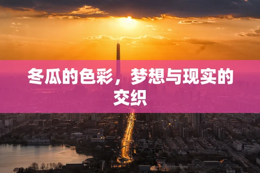 冬瓜的色彩，梦想与现实的交织