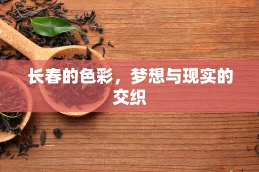 长春的色彩，梦想与现实的交织