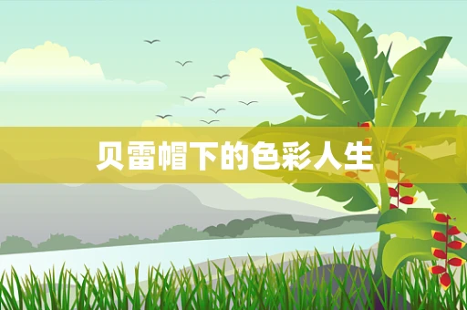 贝雷帽下的色彩人生