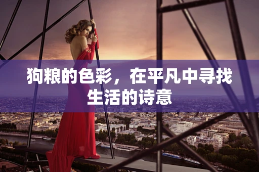 狗粮的色彩，在平凡中寻找生活的诗意