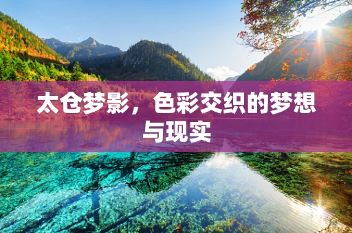 太仓梦影，色彩交织的梦想与现实