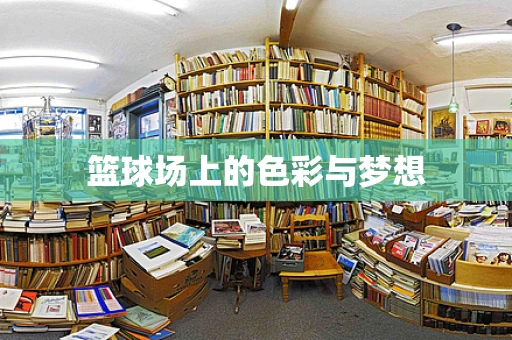 篮球场上的色彩与梦想