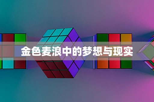 金色麦浪中的梦想与现实