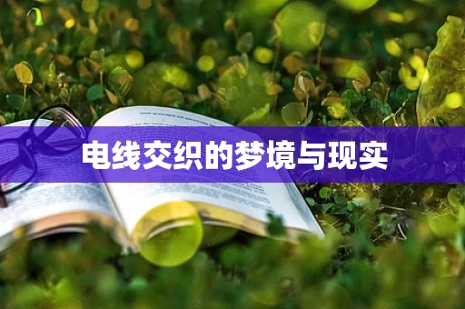 电线交织的梦境与现实