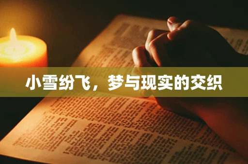 小雪纷飞，梦与现实的交织