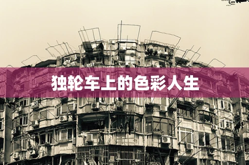 独轮车上的色彩人生
