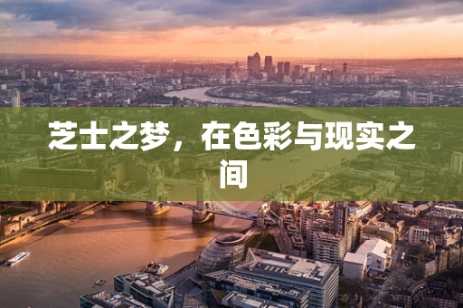 芝士之梦，在色彩与现实之间