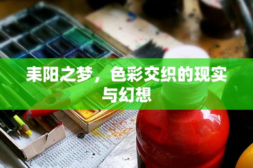 耒阳之梦，色彩交织的现实与幻想