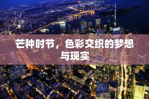 芒种时节，色彩交织的梦想与现实