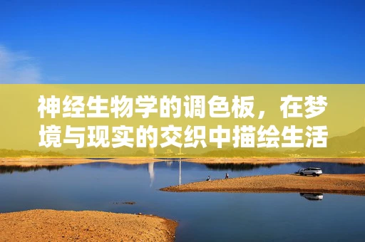 神经生物学的调色板，在梦境与现实的交织中描绘生活
