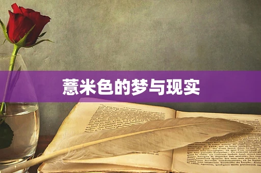 薏米色的梦与现实