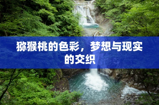 猕猴桃的色彩，梦想与现实的交织