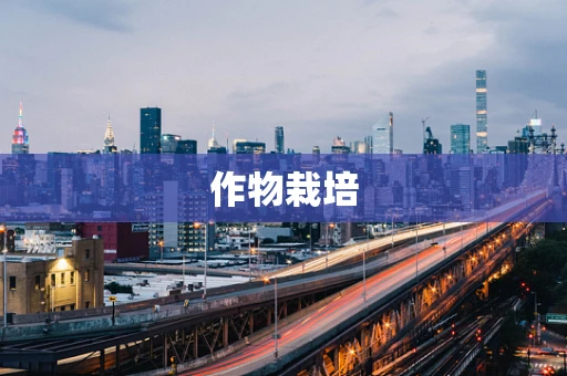 作物栽培