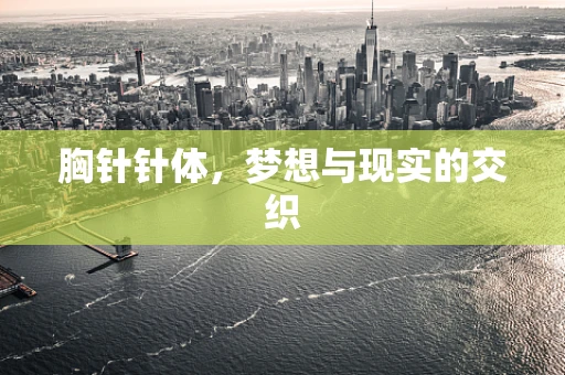胸针针体，梦想与现实的交织