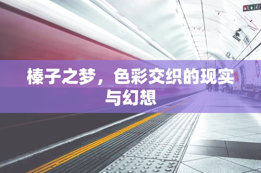 榛子之梦，色彩交织的现实与幻想