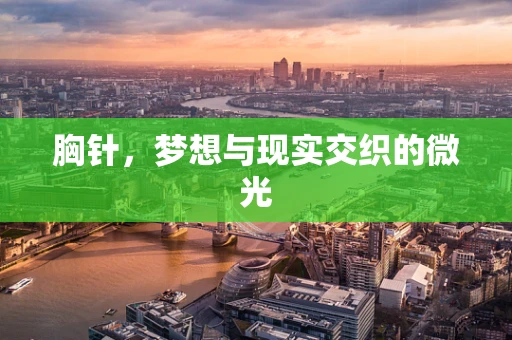 胸针，梦想与现实交织的微光