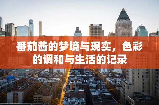 番茄酱的梦境与现实，色彩的调和与生活的记录