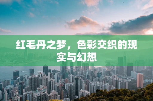 红毛丹之梦，色彩交织的现实与幻想