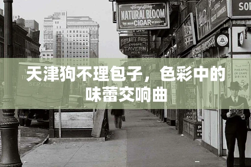 天津狗不理包子，色彩中的味蕾交响曲