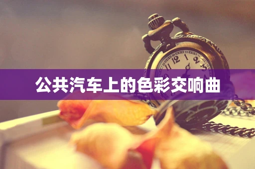 公共汽车上的色彩交响曲