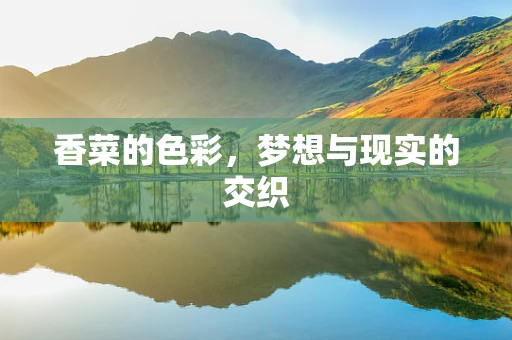 香菜的色彩，梦想与现实的交织