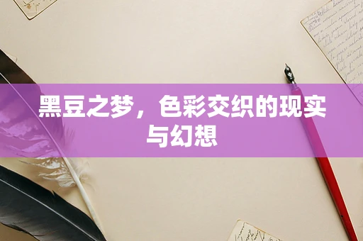 黑豆之梦，色彩交织的现实与幻想