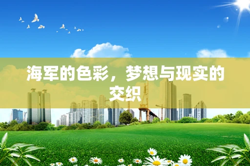海军的色彩，梦想与现实的交织