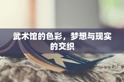 武术馆的色彩，梦想与现实的交织