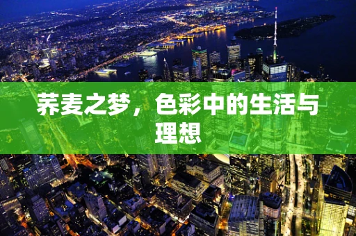 荞麦之梦，色彩中的生活与理想