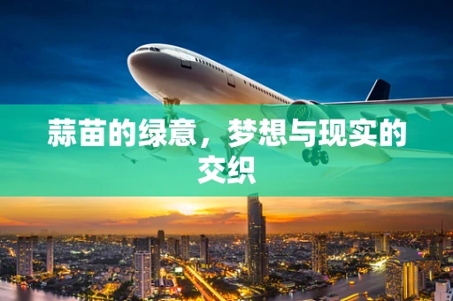 蒜苗的绿意，梦想与现实的交织