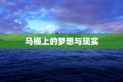 马桶上的梦想与现实