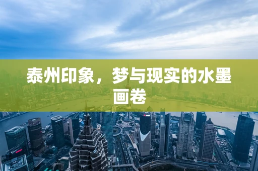 泰州印象，梦与现实的水墨画卷