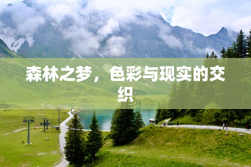 森林之梦，色彩与现实的交织