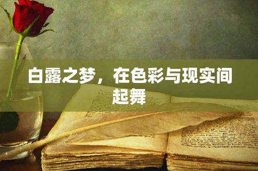 白露之梦，在色彩与现实间起舞